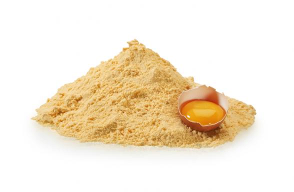 بررسی کیفی پودر زرده تخم مرغ مرغوب